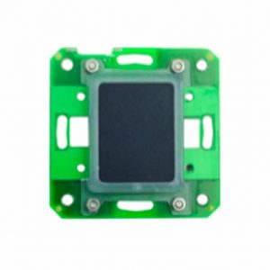 CAGS-00014
